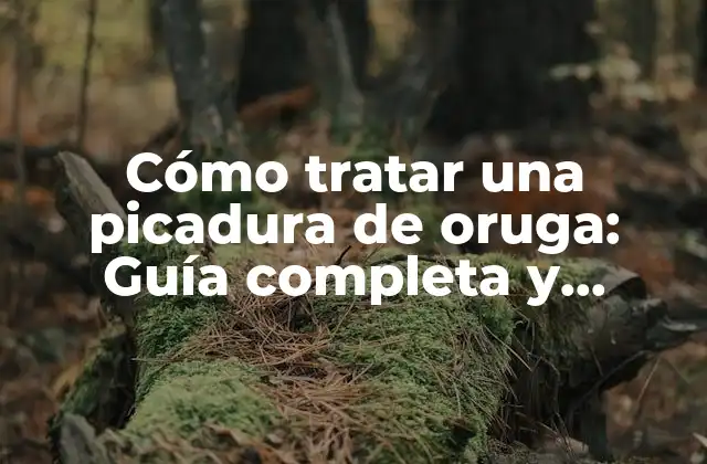 Cómo Tratar una Picadura de Oruga: Guía Completa y Detallada