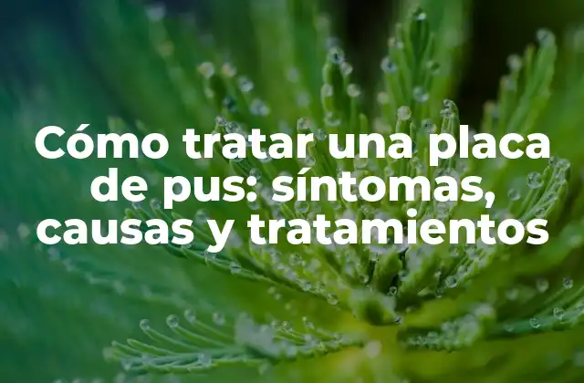 ¿Qué es una placa de pus?