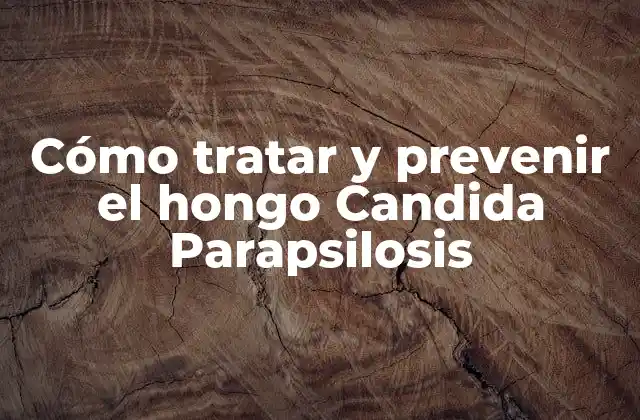 Cómo Tratar y Prevenir el Hongo Candida Parapsilosis 2 ¿Qué es Candida Parapsilosis?