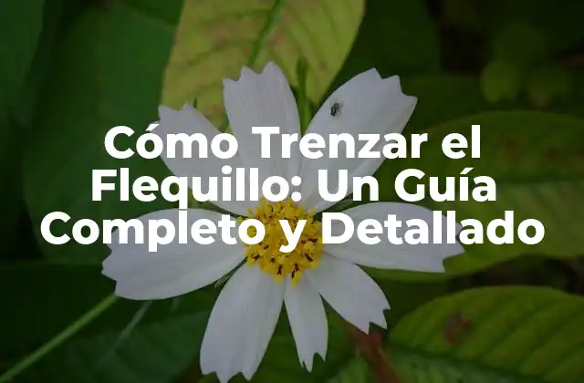 Cómo Trenzar el Flequillo: un Guía Completo y Detallado