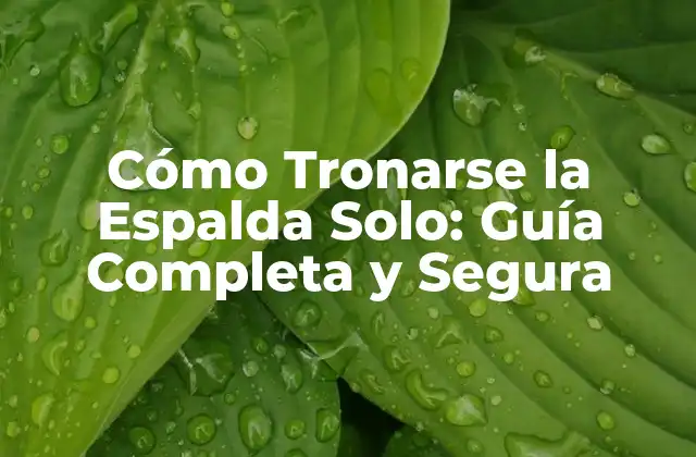 Cómo Tronarse la Espalda Solo: Guía Completa y Segura