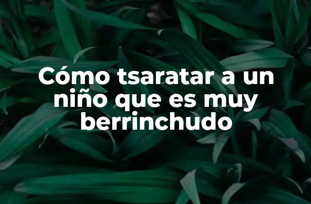 Cómo Tsaratar a un Niño que es Muy Berrinchudo
