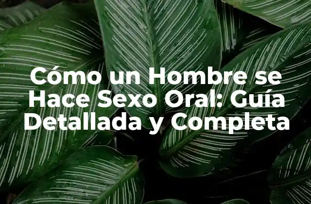 Cómo un Hombre Se Hace Sexo Oral: Guía Detallada y Completa
