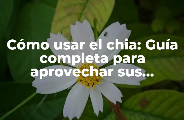 Cómo Usar el Chia: Guía Completa para Aprovechar Sus Beneficios