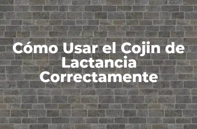 Cómo Usar el Cojin de Lactancia Correctamente