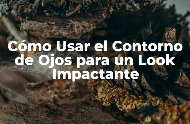 Cómo Usar el Contorno de Ojos para un Look Impactante