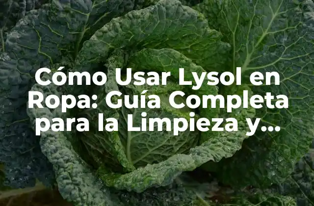 Cómo Usar Lysol en Ropa: Guía Completa para la Limpieza y Desinfección