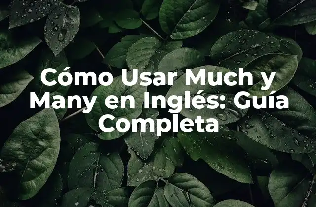Cómo Usar Much y Many en Inglés: Guía Completa 2 ¿Cuál es la Diferencia entre Much y Many?