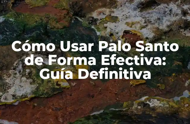 Cómo Usar Palo Santo de Forma Efectiva: Guía Definitiva 2 Beneficios del Palo Santo: ¿Qué lo Hace Tan Especial?