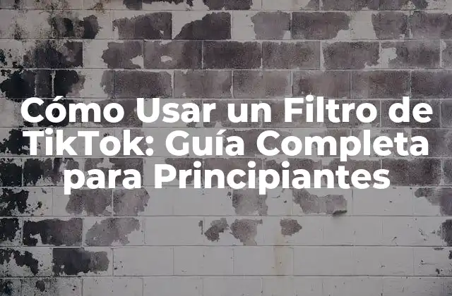 Cómo Usar un Filtro de Tiktok: Guía Completa para Principiantes