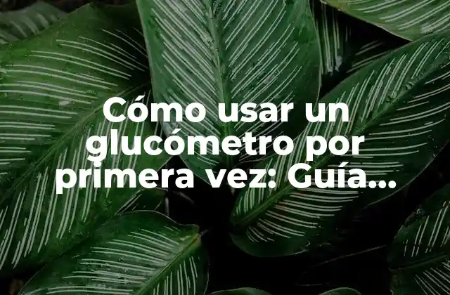 Cómo Usar un Glucómetro por Primera Vez: Guía Práctica y Detallada