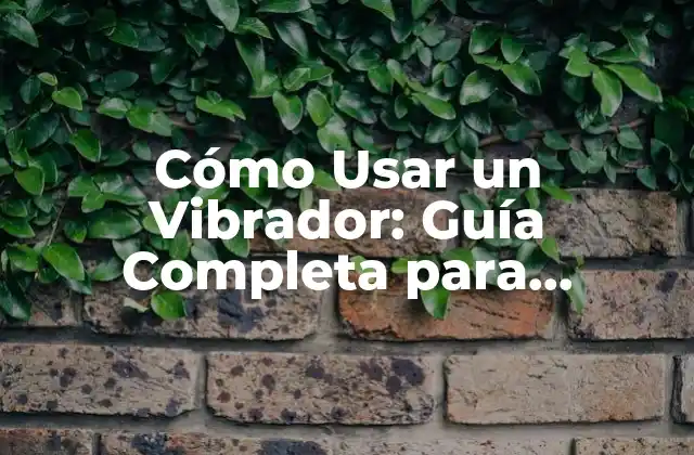 Cómo Usar un Vibrador: Guía Completa para Principiantes