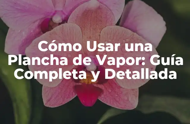 ¿Cuáles son los Beneficios de Utilizar una Plancha de Vapor?