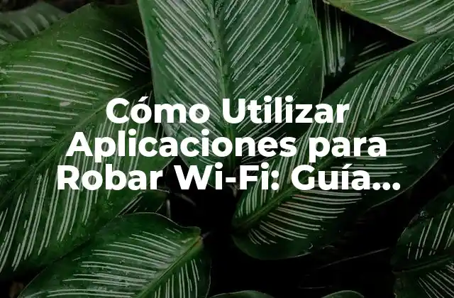 Cómo Utilizar Aplicaciones para Robar Wi-fi: Guía Completa y Segura
