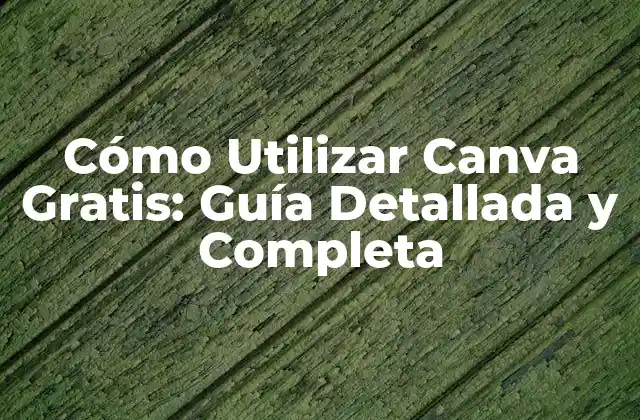 Cómo Utilizar Canva Gratis: Guía Detallada y Completa