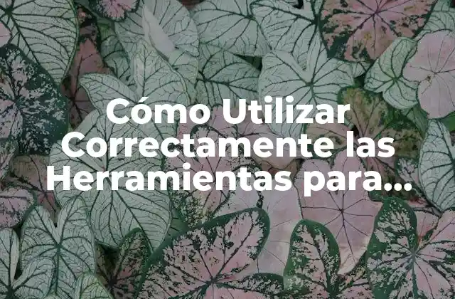 Cómo Utilizar Correctamente las Herramientas para Cambiar Pastillas de Freno