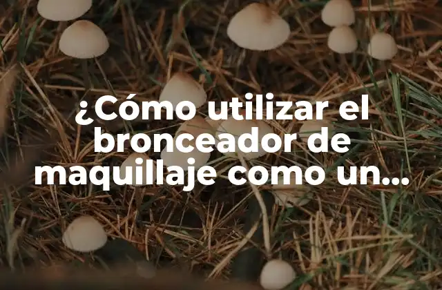 ¿cómo Utilizar el Bronceador de Maquillaje como un Profesional?