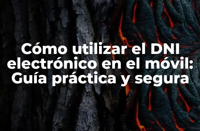 Cómo Utilizar el Dni Electrónico en el Móvil: Guía Práctica y Segura