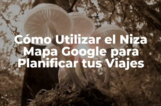 Cómo Utilizar el Niza Mapa Google para Planificar Tus Viajes