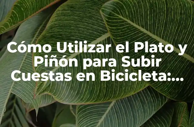 Cómo Utilizar el Plato y Piñón para Subir Cuestas en Bicicleta: Guía Completa