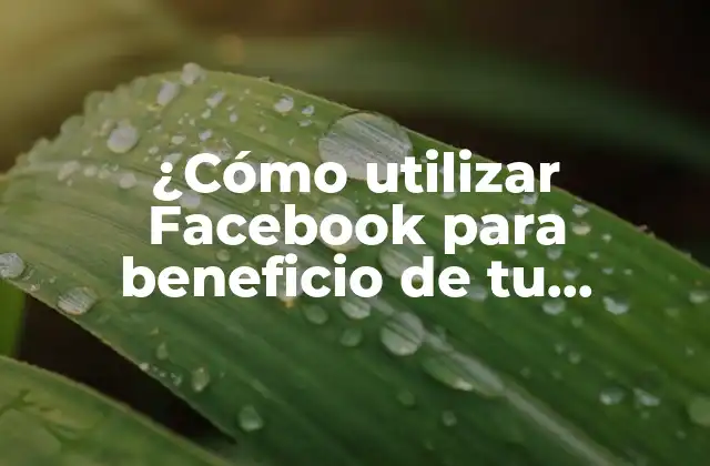 ¿cómo Utilizar Facebook para Beneficio de Tu Negocio?