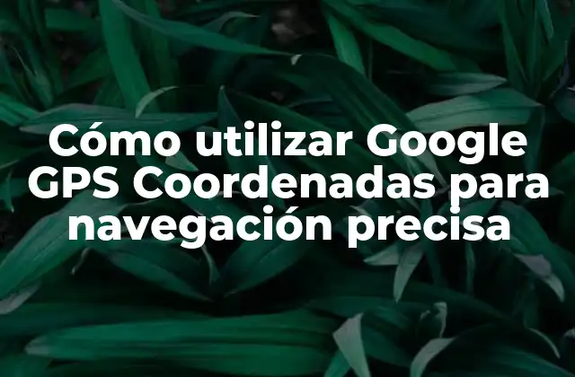 Cómo Utilizar Google Gps Coordenadas para Navegación Precisa