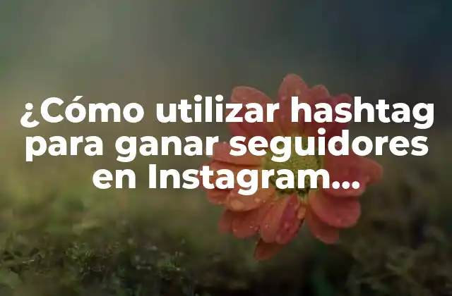 ¿cómo Utilizar Hashtag para Ganar Seguidores en Instagram Efectivamente?