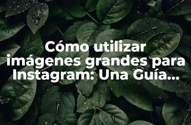 Cómo Utilizar Imágenes Grandes para Instagram: una Guía Completa 2 Beneficios de utilizar imágenes grandes en Instagram