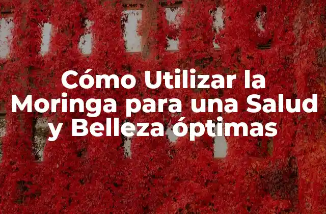 Cómo Utilizar la Moringa para una Salud y Belleza Óptimas