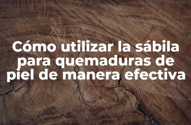 Cómo Utilizar la Sábila para Quemaduras de Piel de Manera Efectiva