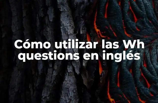 ¿Qué son las Wh questions?