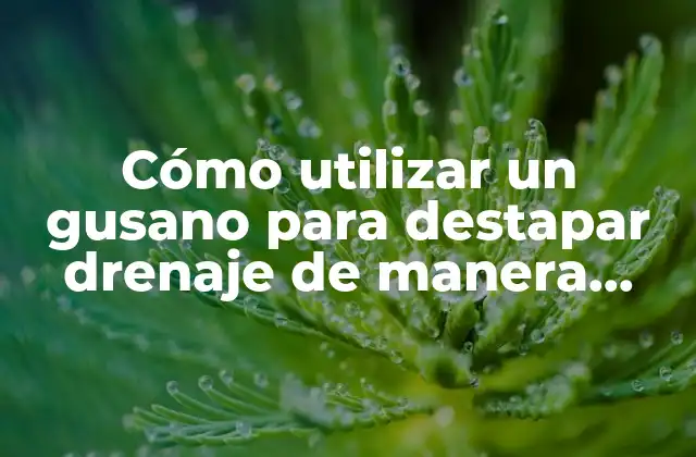 Cómo Utilizar un Gusano para Destapar Drenaje de Manera Efectiva