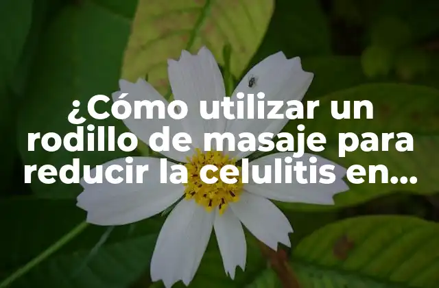 ¿cómo Utilizar un Rodillo de Masaje para Reducir la Celulitis en las Piernas?
