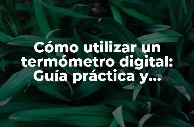 Cómo Utilizar un Termómetro Digital: Guía Práctica y Completa
