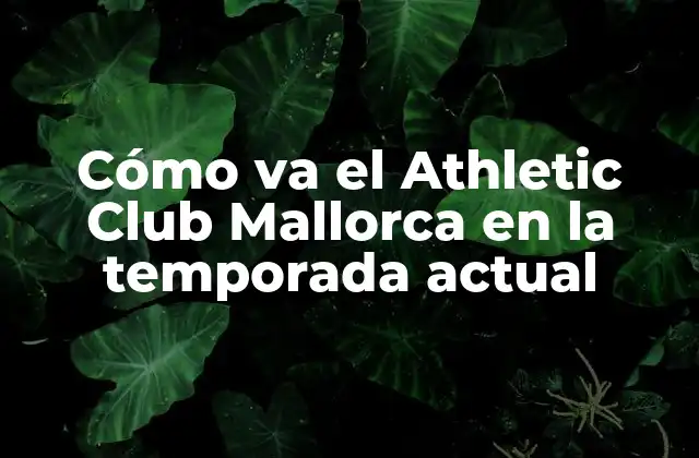 Cómo Va el Athletic Club Mallorca en la Temporada Actual 2 El nuevo proyecto del Athletic Club Mallorca
