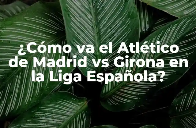 ¿cómo Va el Atlético de Madrid Vs Girona en la Liga Española?