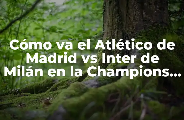 Cómo Va el Atlético de Madrid Vs Inter de Milán en la Champions League