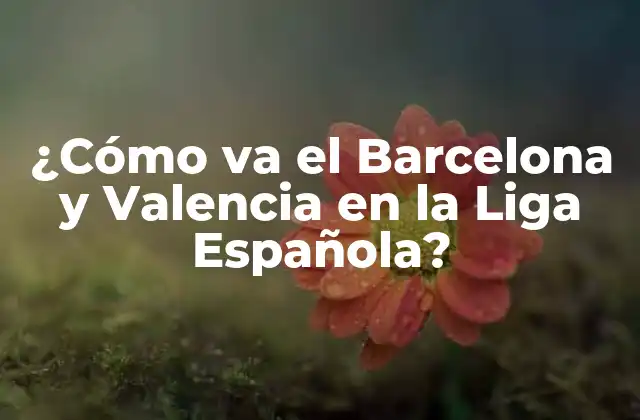 ¿cómo Va el Barcelona y Valencia en la Liga Española?