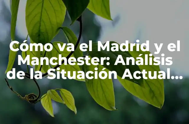 Cómo Va el Madrid y el Manchester: Análisis de la Situación Actual de los Galácticos y los Diablos Rojos