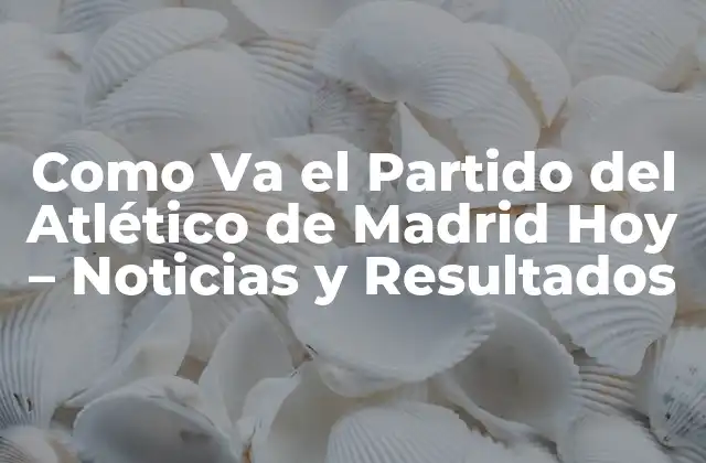 Como Va el Partido Del Atlético de Madrid Hoy – Noticias y Resultados