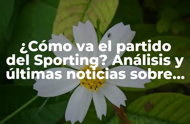 ¿cómo Va el Partido Del Sporting? Análisis y Últimas Noticias sobre el Equipo de Fútbol