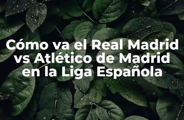 Cómo Va el Real Madrid Vs Atlético de Madrid en la Liga Española