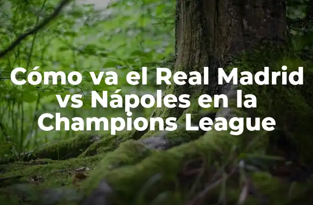 Cómo Va el Real Madrid Vs Nápoles en la Champions League