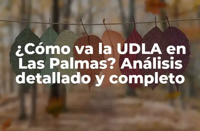 ¿cómo Va la Udla en las Palmas? Análisis Detallado y Completo