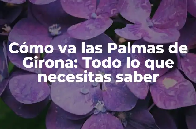 Cómo Va las Palmas de Girona: Todo Lo que Necesitas Saber