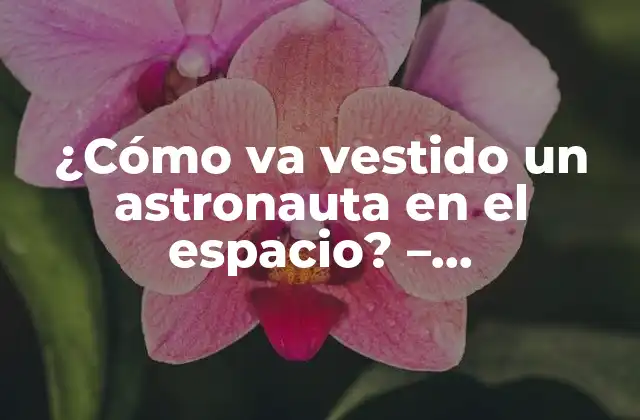 ¿cómo Va Vestido un Astronauta en el Espacio? – Equipamiento Espacial de Astronautas