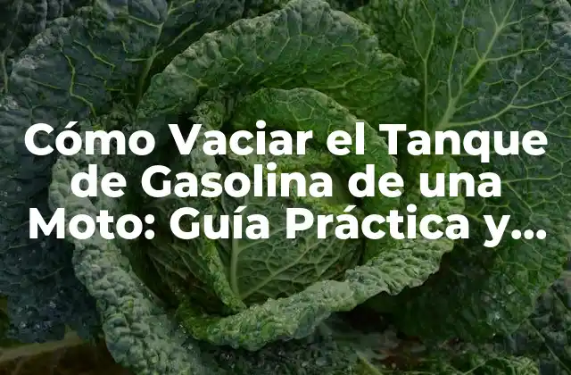 Cómo Vaciar el Tanque de Gasolina de una Moto: Guía Práctica y Segura