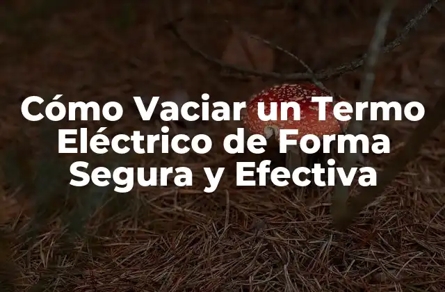 Cómo Vaciar un Termo Eléctrico de Forma Segura y Efectiva