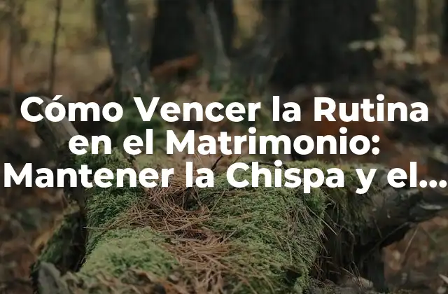 Cómo Vencer la Rutina en el Matrimonio: Mantener la Chispa y el Amor
