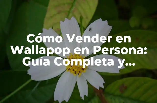 Cómo Vender en Wallapop en Persona: Guía Completa y Actualizada